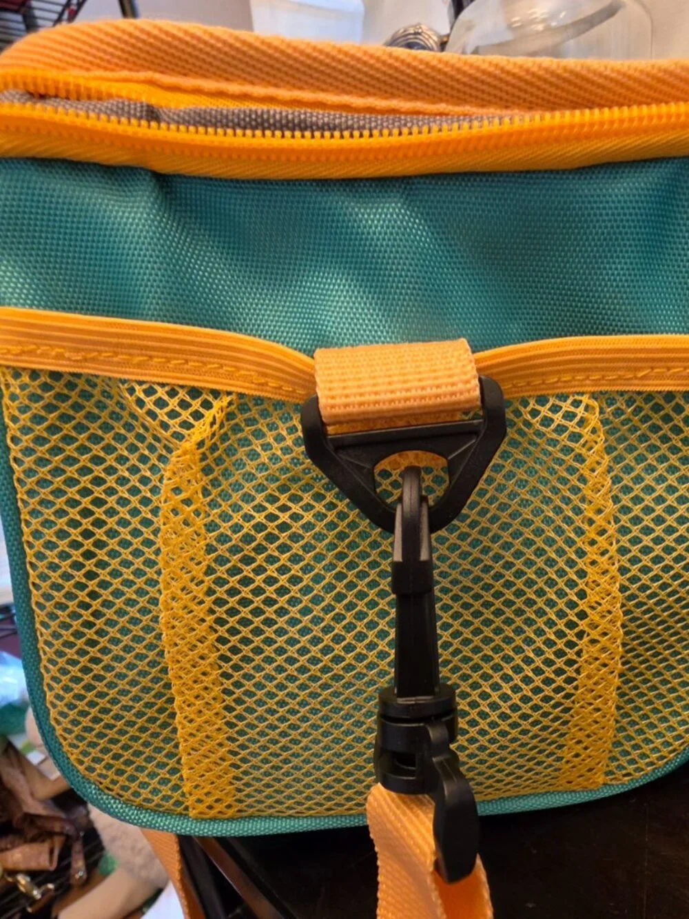 Insulated Lunch bag, everyday living insulated lunch bag NWT 9x6x6